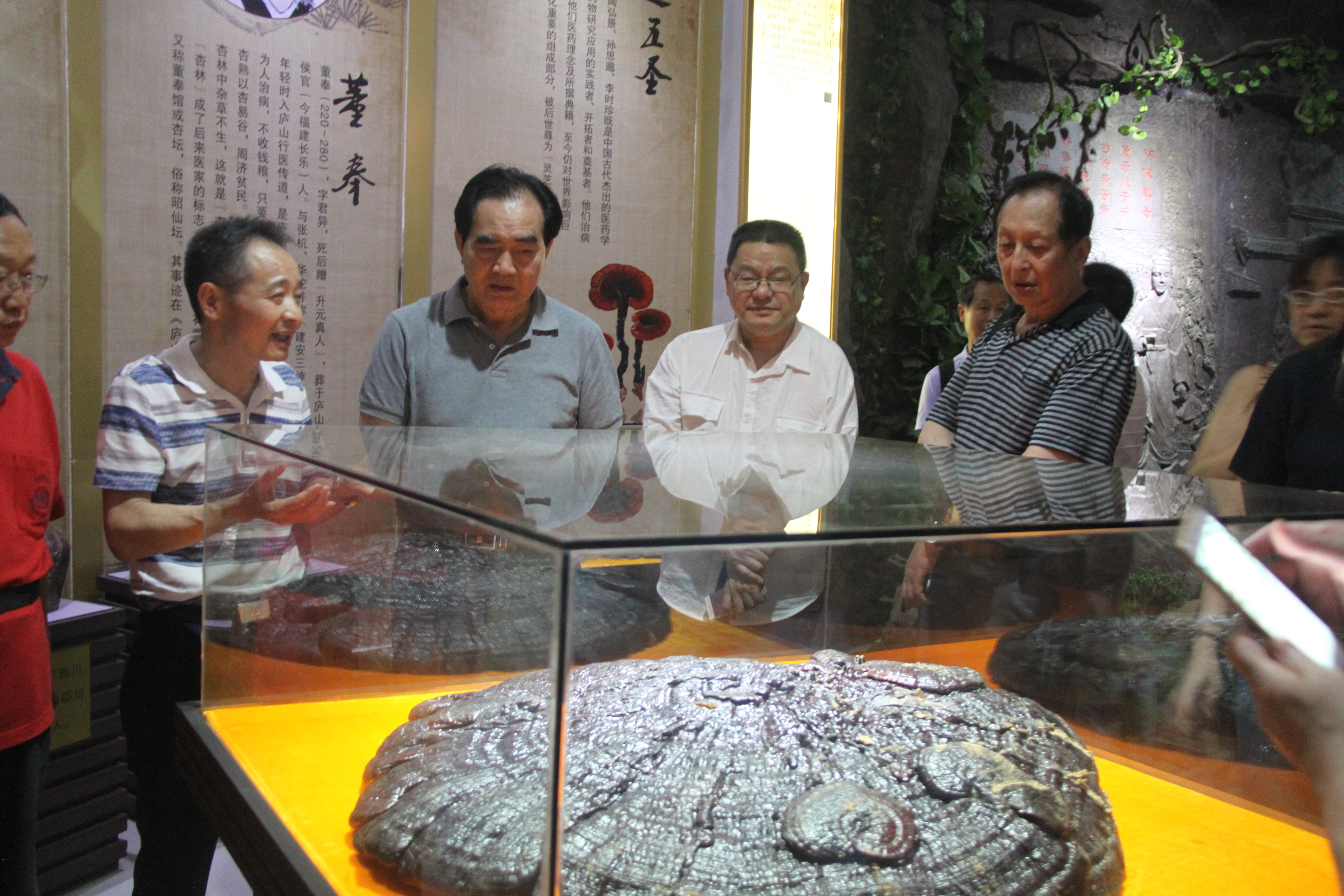 中國靈芝十大品牌|仙客來靈芝|仙客來靈芝破壁孢子粉|仙客來孢子油|仙客來靈芝飲片|仙客來破壁孢子粉|仙客來靈芝中藥飲片|馳名商標|www.plaka.cn|