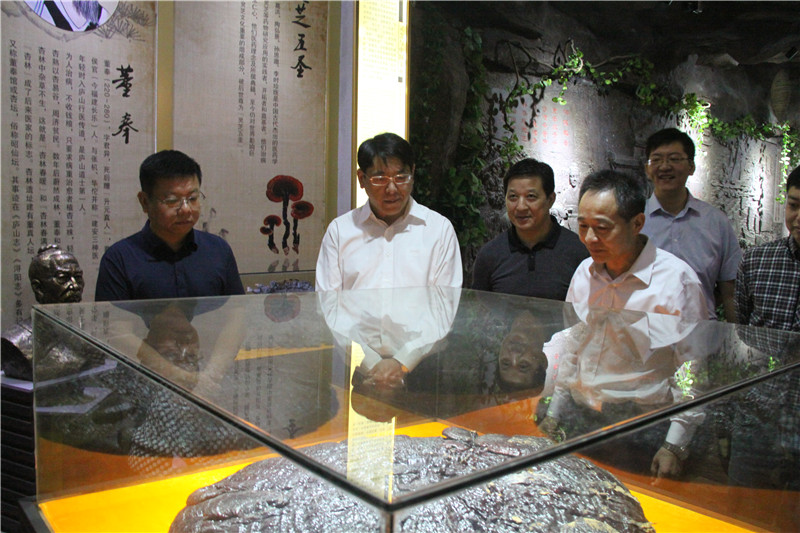 中國靈芝十大品牌|仙客來靈芝|仙客來靈芝破壁孢子粉|仙客來孢子油|仙客來靈芝飲片|仙客來破壁孢子粉|仙客來靈芝中藥飲片|馳名商標(biāo)|www.plaka.cn|