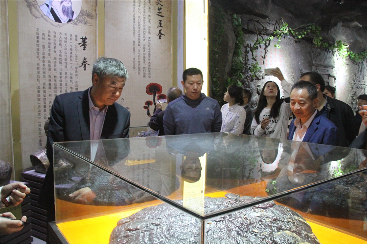 中國靈芝十大品牌|仙客來靈芝|仙客來靈芝破壁孢子粉|仙客來孢子油|仙客來靈芝飲片|仙客來破壁孢子粉|仙客來靈芝中藥飲片|馳名商標(biāo)|www.plaka.cn|