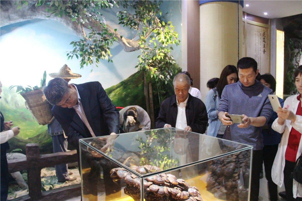 中國靈芝十大品牌|仙客來靈芝|仙客來靈芝破壁孢子粉|仙客來孢子油|仙客來靈芝飲片|仙客來破壁孢子粉|仙客來靈芝中藥飲片|馳名商標(biāo)|www.plaka.cn|